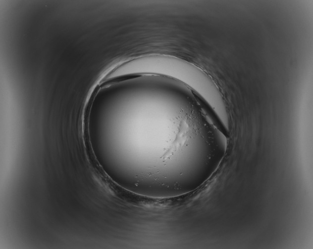 X0000086090148200704132133