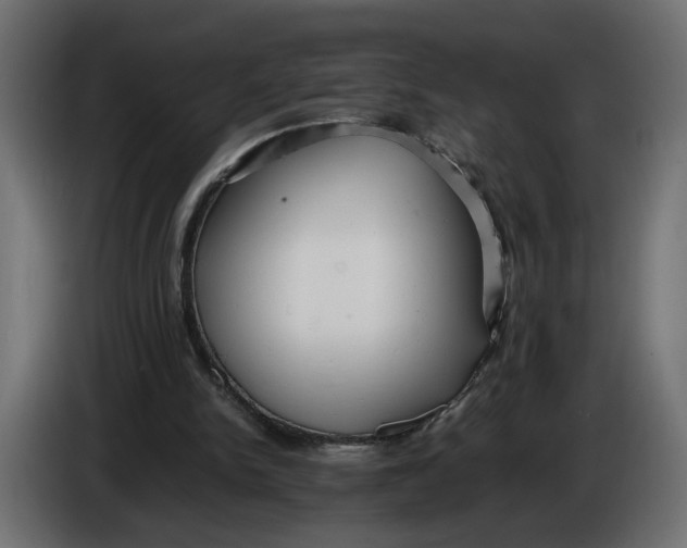 X0000086090150200704132133