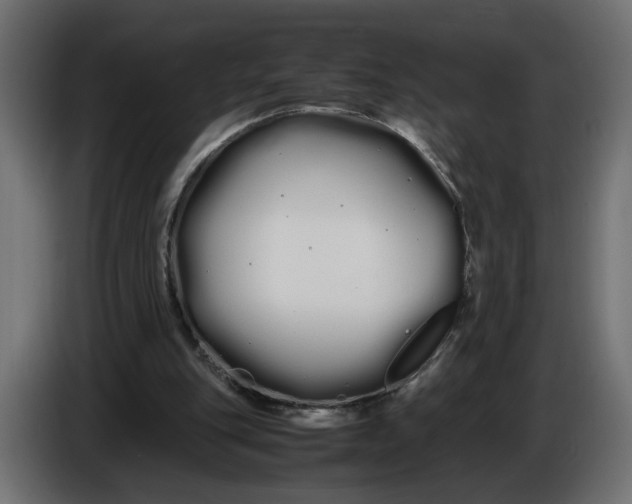 X0000086090151200704132133