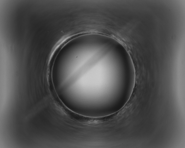 X0000086090152200704132133