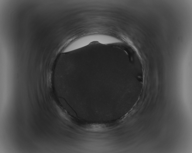 X0000086090154200704132133