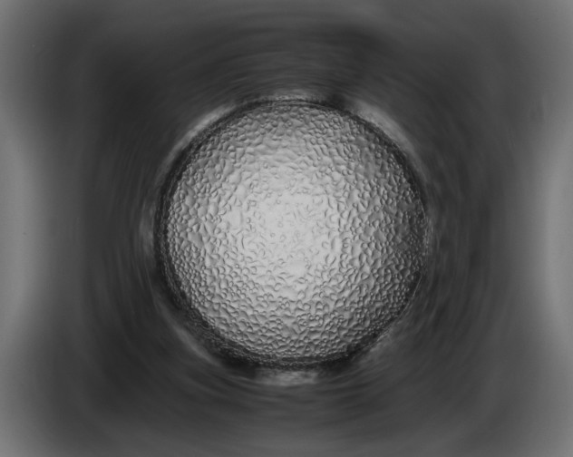 X0000086090155200704132133