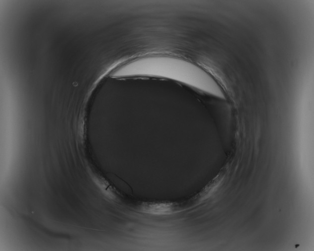 X0000086090156200704132133