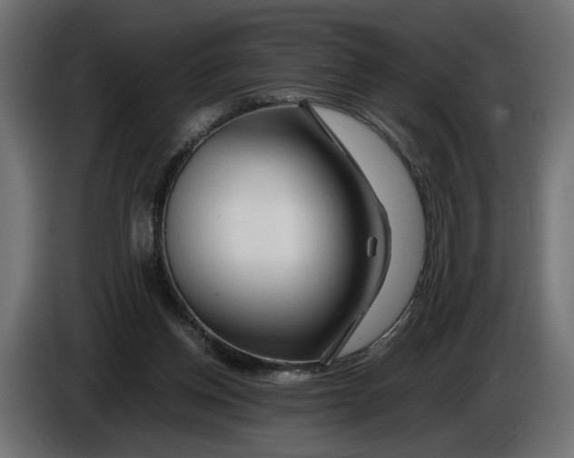 X0000086090158200704132133