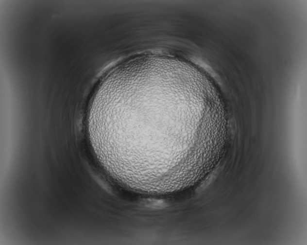 X0000086090159200704132133