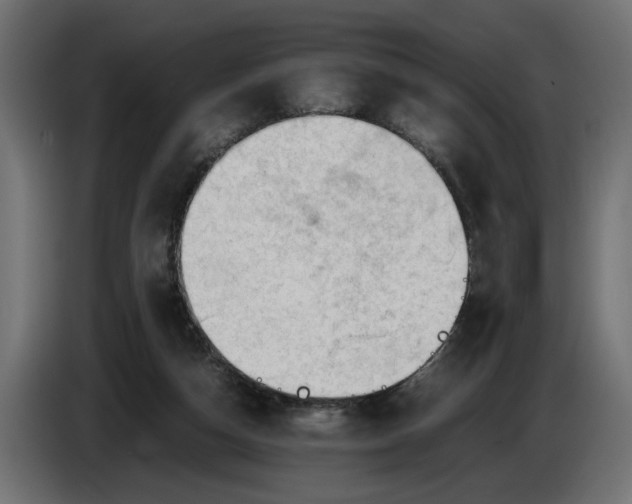 X0000086090162200704132133