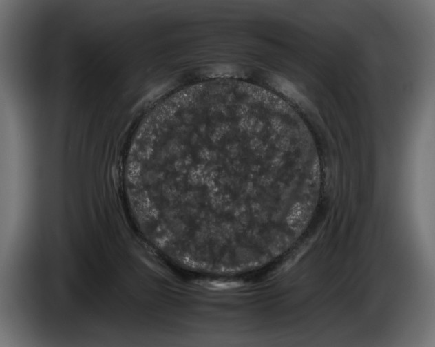 X0000086090165200704132133