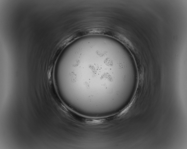 X0000086090166200704132133