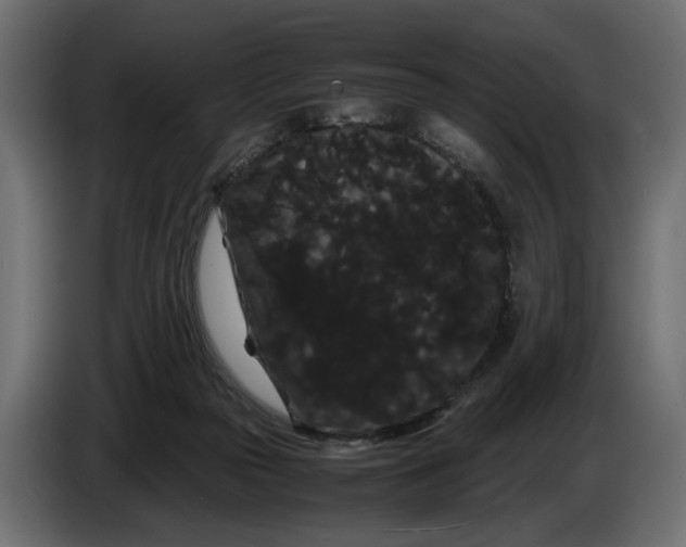 X0000086090169200704132133