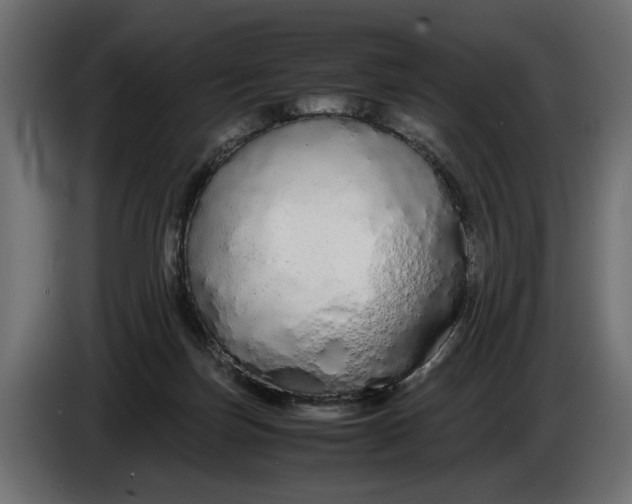 X0000086090171200704132133