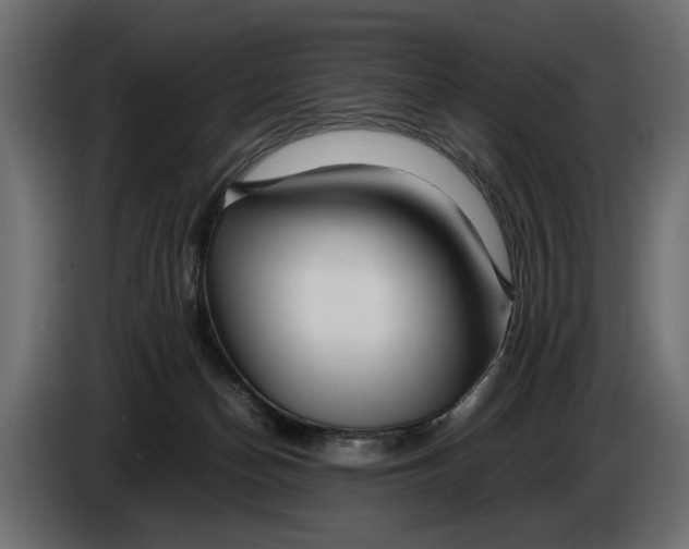 X0000086090174200704132133