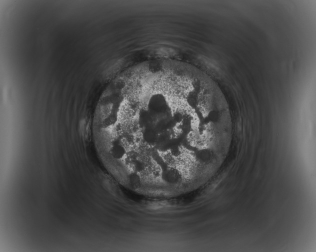 X0000086090177200704132133