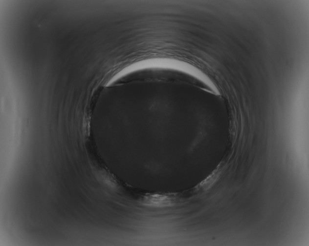 X0000086090180200704132133