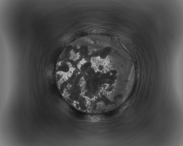 X0000086090181200704132133