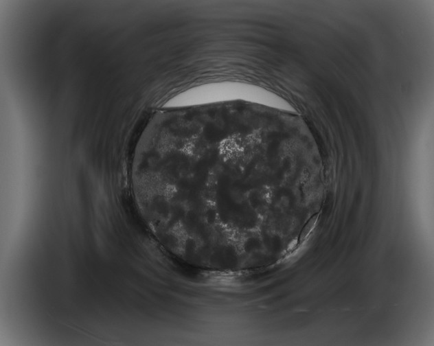 X0000086090182200704132133