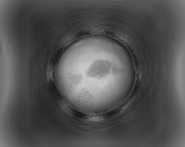 X0000086090185200704132133