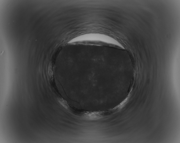 X0000086090186200704132133