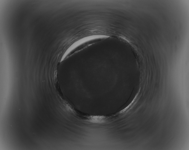 X0000086090192200704132133