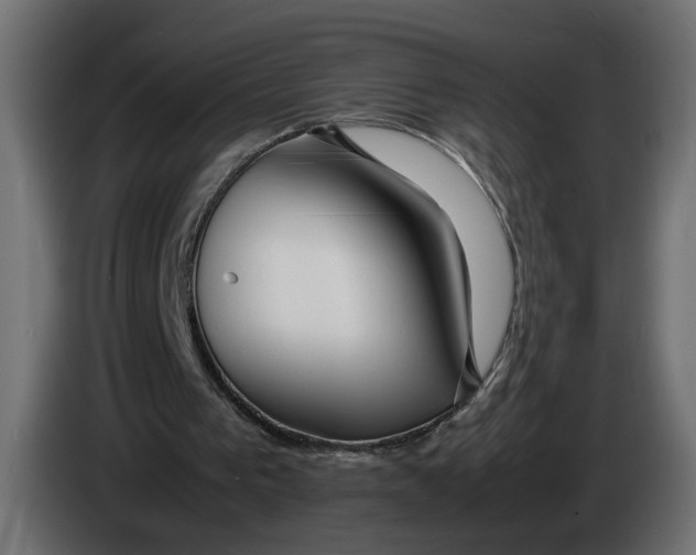 X0000086090193200704132133