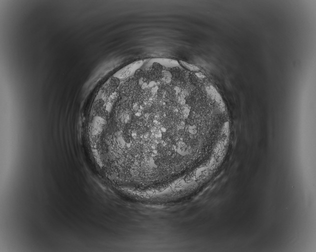 X0000086090194200704132133