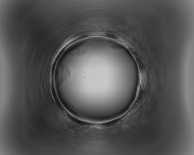 X0000086090195200704132133