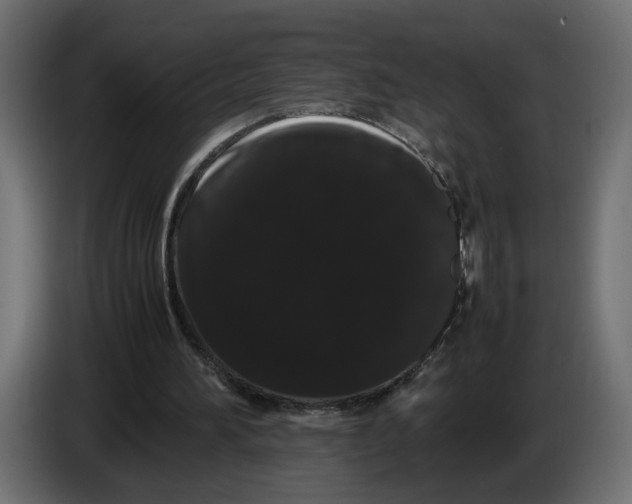 X0000086090196200704132133