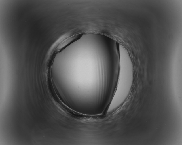 X0000086090197200704132133