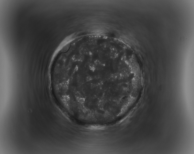 X0000086090198200704132133