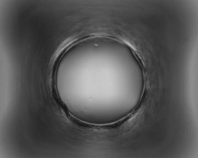 X0000086090199200704132133