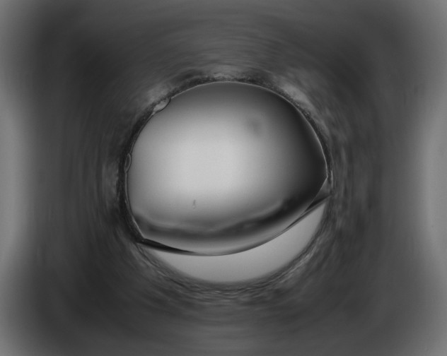 X0000086090201200704132133