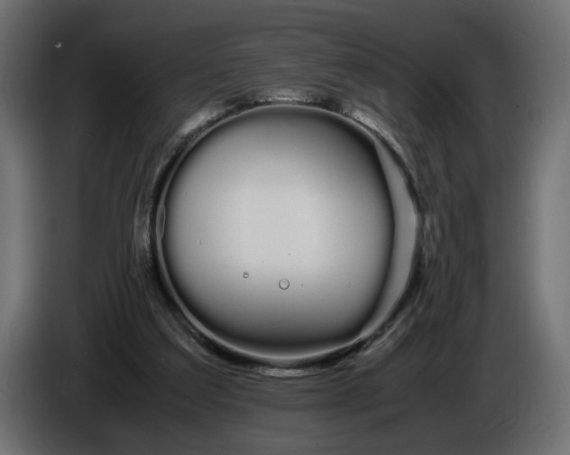 X0000086090203200704132133