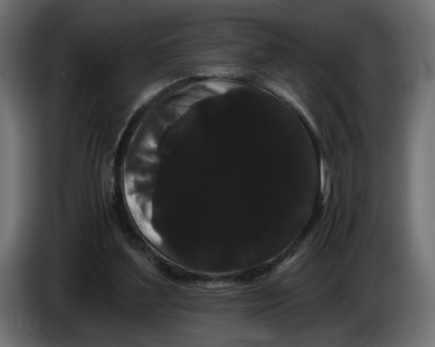 X0000086090204200704132133