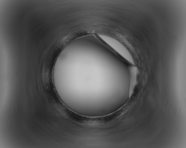 X0000086090209200704132133