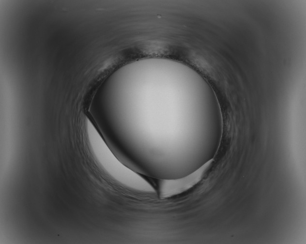 X0000086090211200704132133