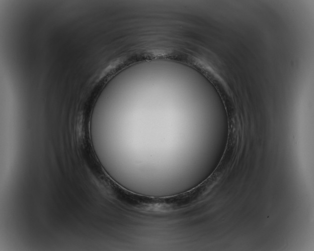 X0000086090212200704132132