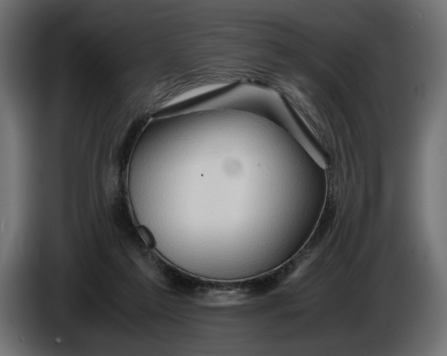 X0000086090213200704132132