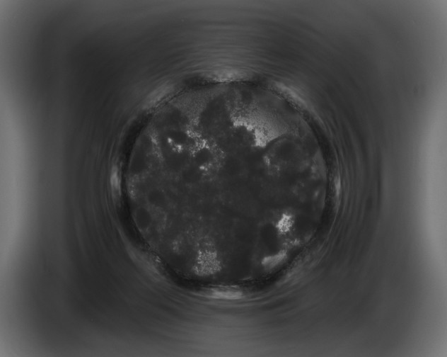 X0000086090214200704132132