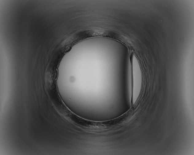 X0000086090215200704132132