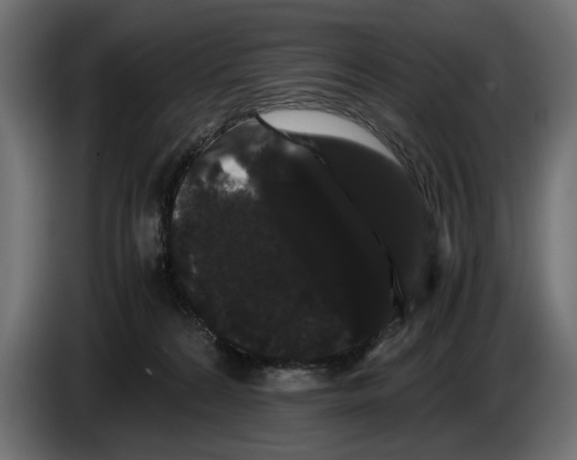 X0000086090224200704132132