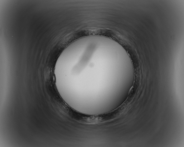 X0000086090225200704132132