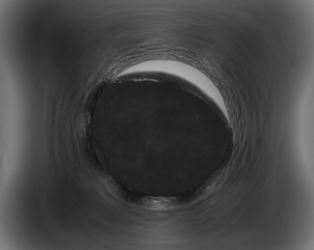 X0000086090229200704132132