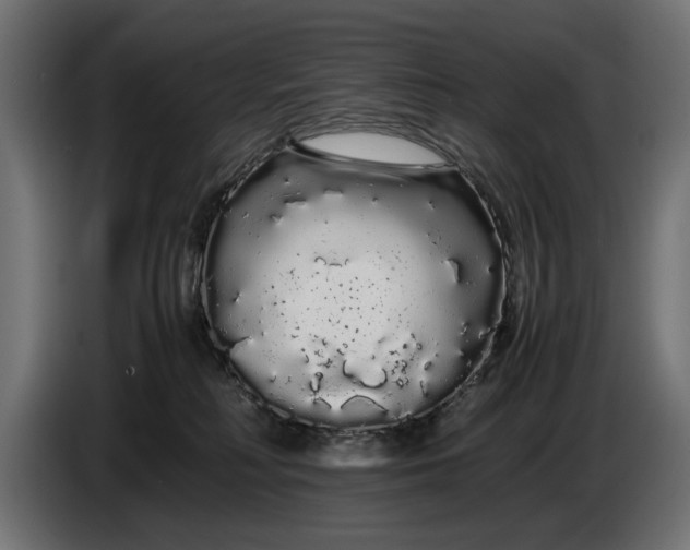 X0000086090230200704132132