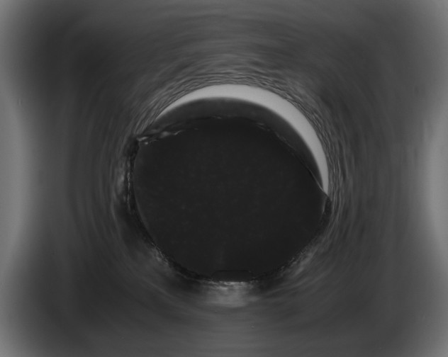 X0000086090233200704132132