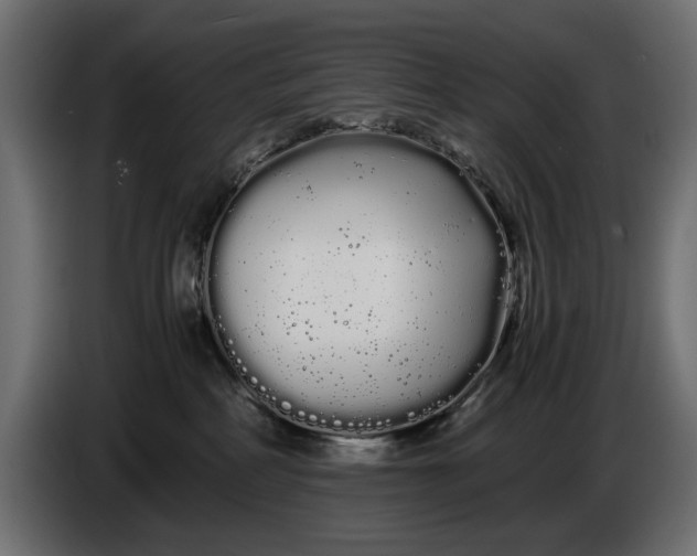 X0000086090234200704132132