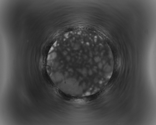 X0000086090236200704132132