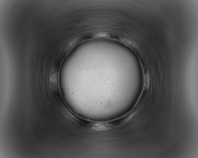 X0000086090238200704132132