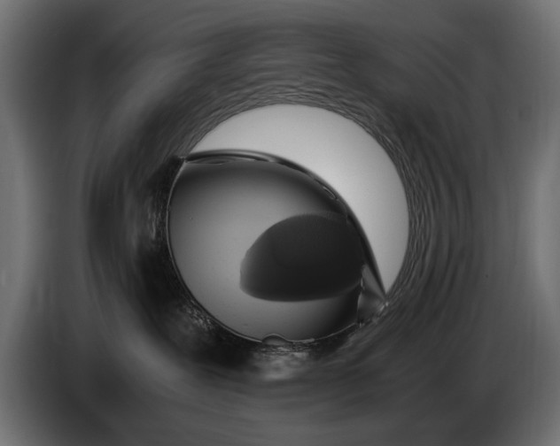 X0000086090239200704132132