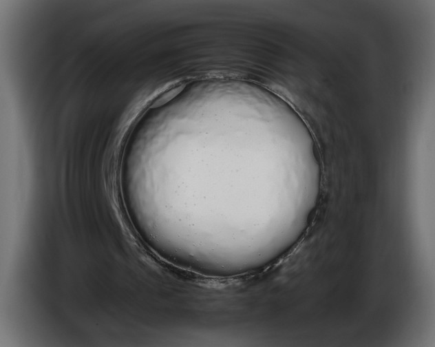 X0000086090241200704132131