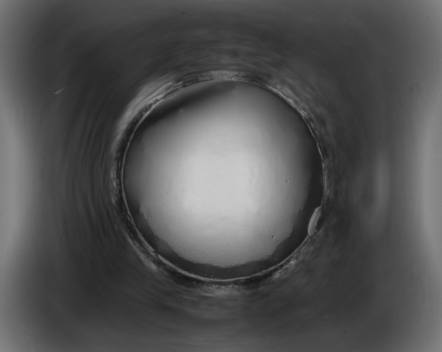 X0000086090245200704132131