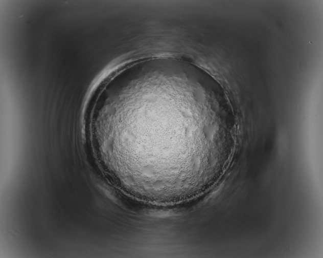 X0000086090246200704132131